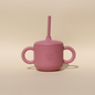 2in1 Straw Cup Berry